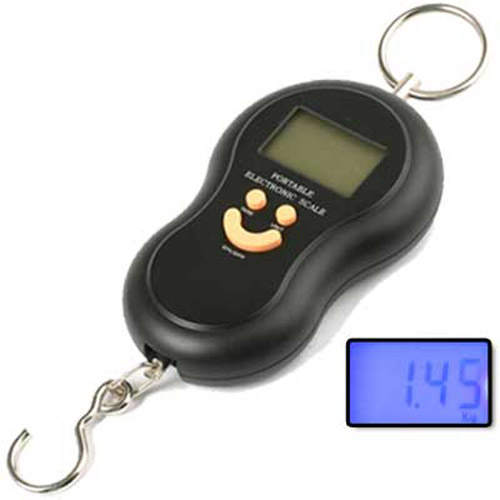 Portable Accurate Digital Scales to 40kg / 88lbs With Blue Back